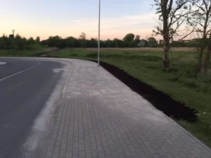 BRUĢA SEGUMA LABOŠANA